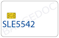 SLE5542 Advanced 256-Byte EEPROM featuring Enhanced Write Protection and Customizable Security Code Functionality