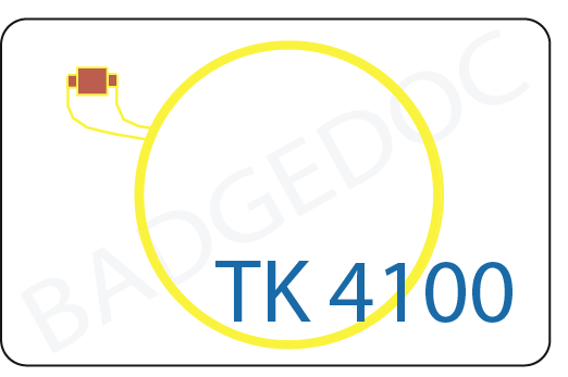 TK 4100 Proximity chip card 125 Khz - read only, comes from the factory with a unique 10-digit HEX code